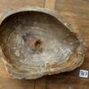 Naturstein-Waschbecken-versteinertes-holz-fossil-nr-367