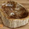 Waschbecken-Stein-versteinert-fossil-unikat-nr-372