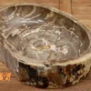Waschbecken-Stein-versteinertes-holz-nr-316