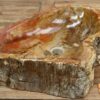 Waschbecken-aus-versteinertem-Holz-nr-424