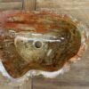 Waschbecken-aus-versteinertem-Holz-nr-424