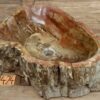 Waschbecken-aus-versteinertem-Holz-nr-424