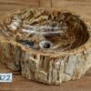 Waschbecken-fossiles-holz-nr-322
