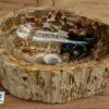 Waschbecken-fossiles-holz-nr-322