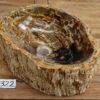 Waschbecken-fossiles-holz-nr-322