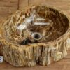 Waschbecken-fossiles-holz-nr-322