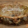 Waschbecken-versteinertes-Holz-nr-433