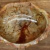 Waschbecken-versteinertes-Holz-nr-433