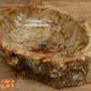 Waschbecken-versteinertes-Holz-nr-433