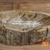 Waschbecken-versteinertes-Holz-nr-435