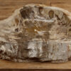 Waschbecken-versteinertes-Holz-nr-436