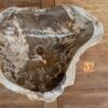 Waschbecken-versteinertes-Holz-nr-436