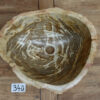 Waschbecken-versteinertes-holz-nr-340