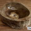 Waschbecken-versteinertes-holz-nr-349