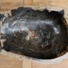 Waschbecken-versteinertes-holz-nr-403