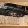 Waschbecken-versteinertes-holz-nr-403