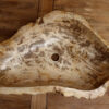 Waschbecken-versteinertes-holz-nr-404