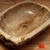 Waschbecken-versteinertes-holz-nr-421