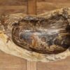 Waschbecken-versteinertes-holz-nr-422