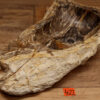 Waschbecken-versteinertes-holz-nr-422