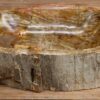 Waschbecken-versteinertes-holz-nr-432