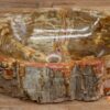 Waschbecken-versteinertes-holz-nr-432