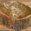 Waschbecken-versteinertes-holz-nr-432