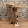 Waschtisch-Massivholz-Wurzel-nr-456
